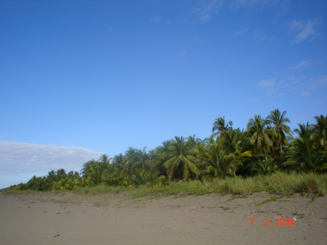 3-11 feb Flag Beach amiguitas + family (4)