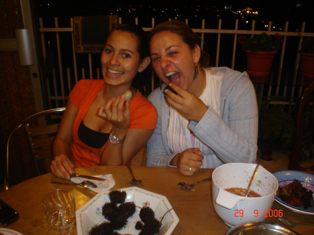 Cena Despedida Behruz & Ljuba (35)