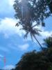 Manuel Antonio, villa nueva!!!! BUENASO!! 143.jpg
