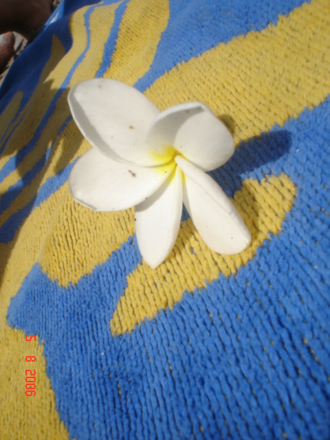Sta. Teresa, pen. de Nicoya (56)