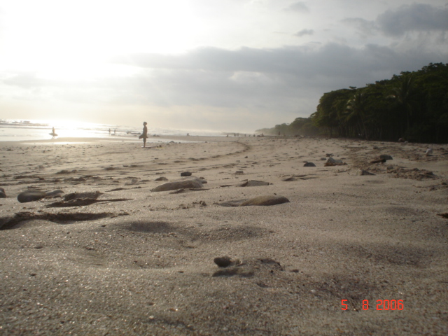 Sta. Teresa, pen. de Nicoya (63)