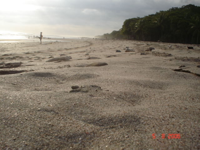 Sta. Teresa, pen. de Nicoya (66)