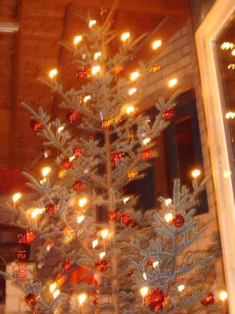 navidad, X-mas, Weihnachten (68)
