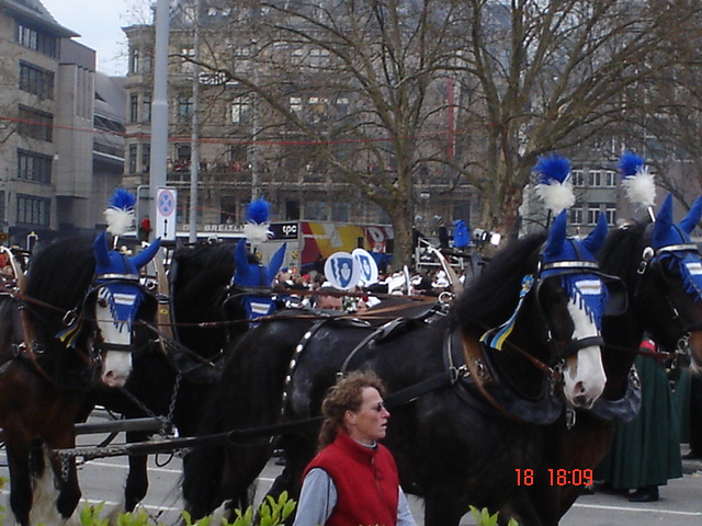 B��gg 18-04-05 067