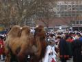 B��gg 18-04-05 113.jpg