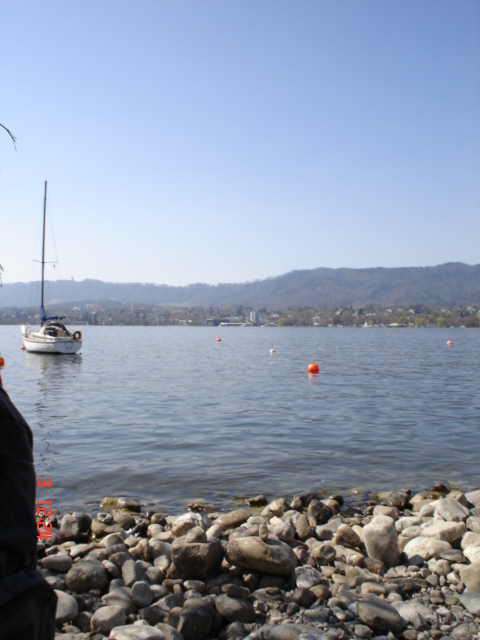 Lago Z�rich (2)