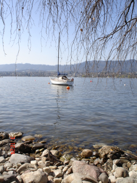 Lago Z�rich (3)