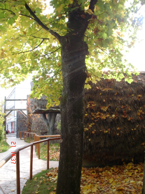M�nich (129)
