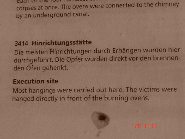 M�nich (72)