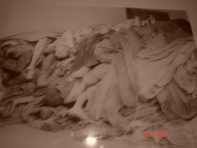 M�nich (74)