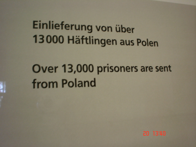 M�nich (84)