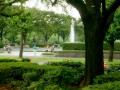 IMGP0664.jpg
